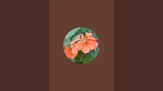 Queen Nature Vlogs  is live வாங்க விளையாடலாம்...
