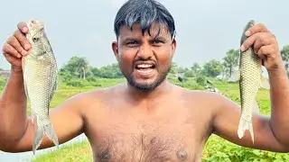 Talaw Se Machli Pakadna Pada Dinner Ke Liye | My First Vlog