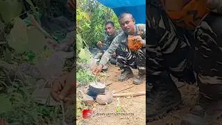 ssc gd training | jungle camp crpf commando #crpf #cobra  #sscgd #bsf #army #duty #jungle #shorts
