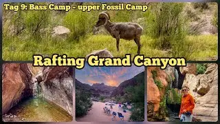 Rafting Grand Canyon, Tag 9: Bass Camp &ndash; upper Fossil Camp *Elves Chasm & Blacktail Canyon*