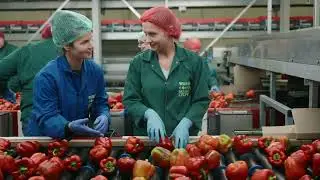 Work at Wijnen Square Crops