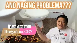 Small Project Toilet Renovation (Tiles and Fixture Replacement)