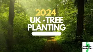 2024 - UK Tree Planting Review