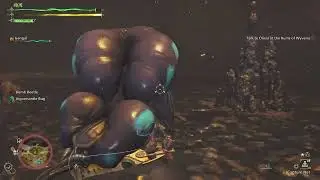 Monster Hunter Wilds: Rompopolo &ndash; Thunderous Temper, Wild Instinct