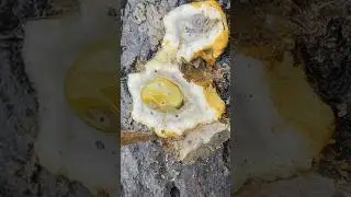 Mining for Gems & Crystals | Agates Found in Nature | Diamond Hunter
