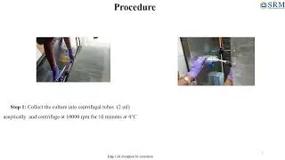 Experiment no  5   Bacterial Cell Disruption by Ultrasonication