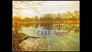 Carp Run Compilation #2