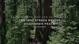 432Hz Nature Healing Sounds for Instant Stress Relief and Inner Peace