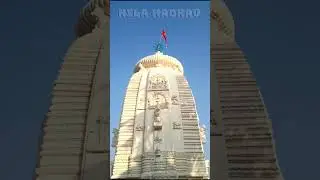 Kantilo Nilamadhab :The Hidden Gem of Odisha | Aapka Naresh #shors #ytshorts #spirit#youtubeshorts