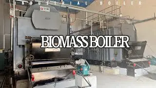 DZL Coal Boiler Chain Grate Boiler Biomass Steam Boiler 4 Ton/hour 250 hp
