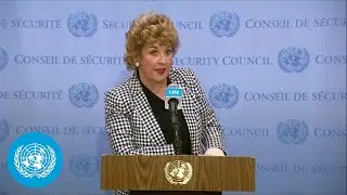 Ireland on the Protection of Journalists - Media Stakeout