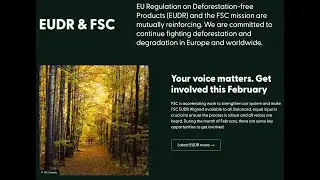 Consultation to strengthen FSC standards and continue fighting deforestation globally