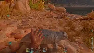 Epic Solo Base Build - ARK: Survival Ascended