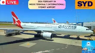 🔴 LIVE Runway And Gate View at Sydney Airport From Inside Terminal 1 International