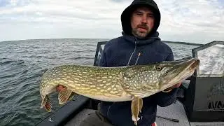 Mazury wypłaciły! Kto gra grubo wygrać musi!