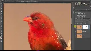 How to remove noise in photoshop