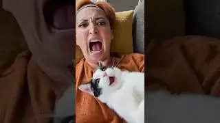 Cats vs Humans 🤣🤣 #funny #catvideos #catshorts #cat