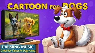 Dog Cartoon with Music: Best Video to Keep Dogs Calm & Happy When Home Alone 🐶Relaxing Music for Dog