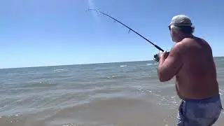 Big Red Drum! Jamaica Beach, TX.