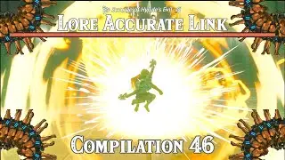 The Scourge of Hyrule's Evil: Lore Accurate Link Compilation 46