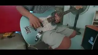 The Smiths Heaven knows Im Miserable Now (bass cover)