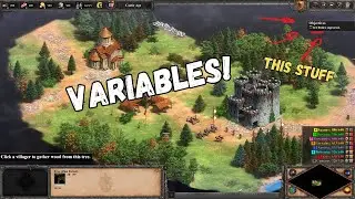 How To Use Variables in AoE2