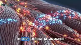 What Is the KLOW Peptide Blend? | Metabolic & Cellular Research Peptides Explained in 2 Minutes
