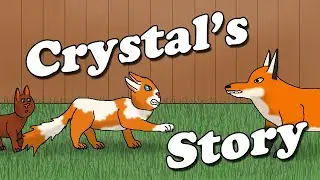 The Life of Crystal