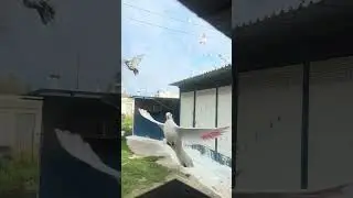 Πιανόμαστε!!!