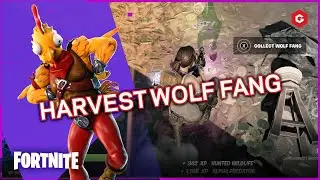 HOW TO HARVEST A WOLF FANG, BOAR TUSK AND CHICKEN FEATHERS (FORTNITE SPIRE QUESTS)