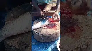 Fish Cutting | Daily Fresh Market Big Size Fish Cleaning and Cutting Bangla Street Style
