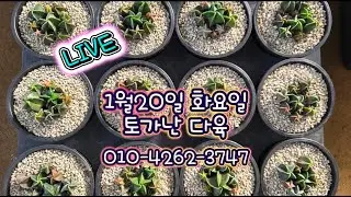 ⭐오늘도 이쁜게 천~지ㅋㅋ⭐ 라이브 방송