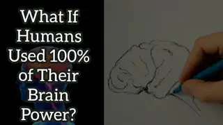 What If Humans Used 100% of Their Brain Power? 