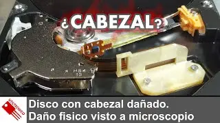 Disco con cabezal dañado. Daño físico visto a microscopio