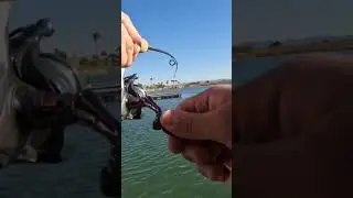 Bass fishing on a Saturday morning