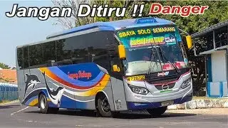 Aksi Bus KAPTEN OLENG Ter-UPDATE Juli 2019 di Tikungan Legend Terminal Mojokerto