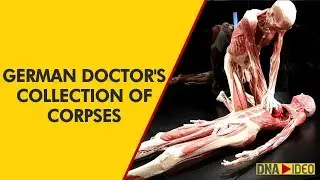 Body World's Museum in London to showcase collection of embalmed corpses