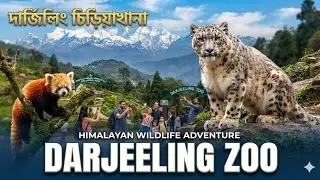 Darjeeling Zoo 2024 | দার্জিলিং চিড়িয়াখানা | दार्जिलिंग चिड़ियाघर 🇮🇳 | চিড়িয়াখানার মধ্যে No.1