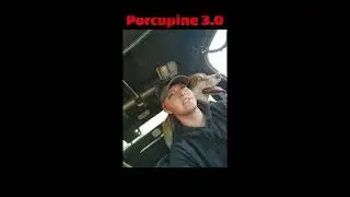 Passed Brown Springs Porcupine 3