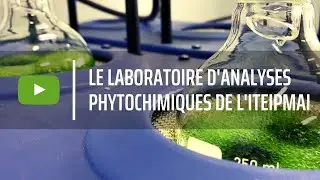 Pr&eacute;sentation du laboratoire d'analyses phytochimiques de l'iteipmai.