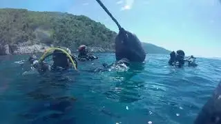 LINA wreck, Croatia + car wreck in Brseč Beach, may 2023 . Deep diving 39 meters down, wreck diving.