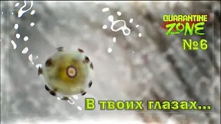 В ТВОИХ ГЛАЗАХ...►Quarantine Zone: The Last Check №6