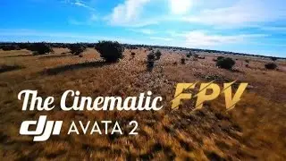 The Cinematic Fpv 