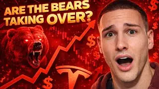 Tesla Stock Update: What to Expect Before Earnings
