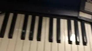 IMG 0359