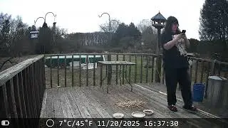 Archive Files of Deck Trail Camera Compilation 20251121 D