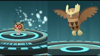 Hoothoot evolution into Noctowl in Pokemon GO !! Trainer Ari