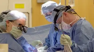 University of Virginia Integrated Plastic Surgery Residency Program