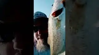 July 10, 2022#shorts #bassfishing #angler #bigbass #basspro #texasbassfishing #texasbass