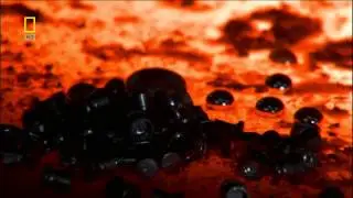 Birth of The Solar System